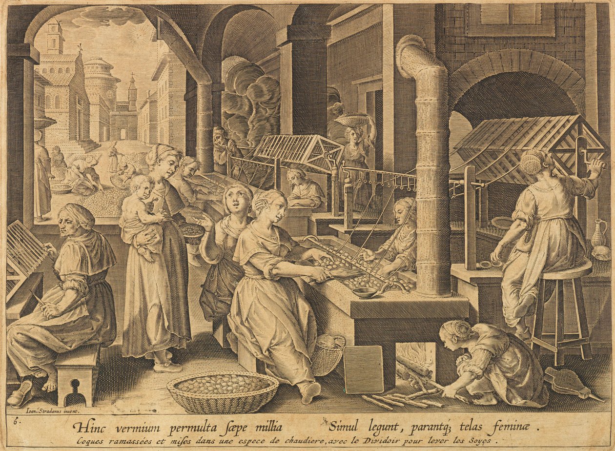 Extração de Seda Vermis sericus, após 1640. de Stradanus