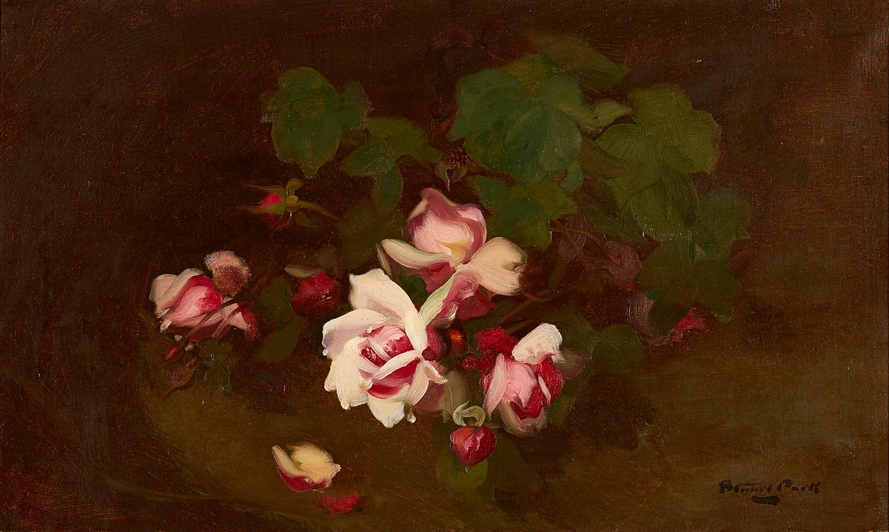 Rosas em Flor (óleo sobre tela) de Stuart Park