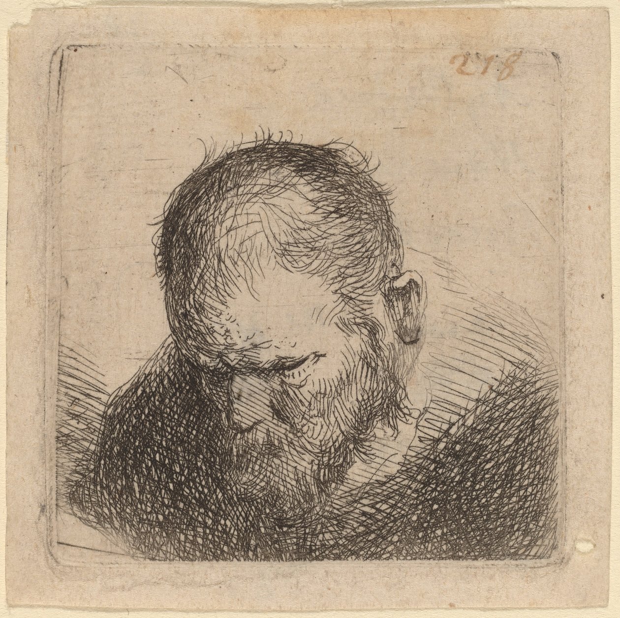 Homem barbudo olhando para baixo de Studio of Rembrandt van Rijn