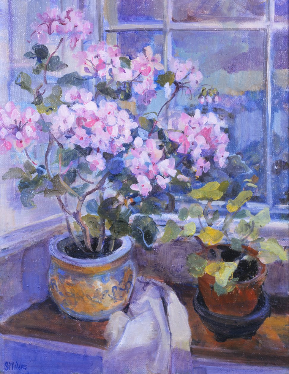 Gerânio rosa no assento da janela, 1996, de Sue Wales