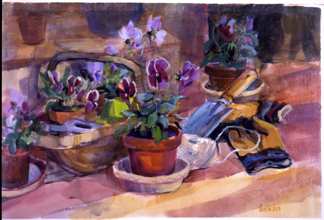 Potting up the pansies, 1996, (guache no cartão) de Sue Wales