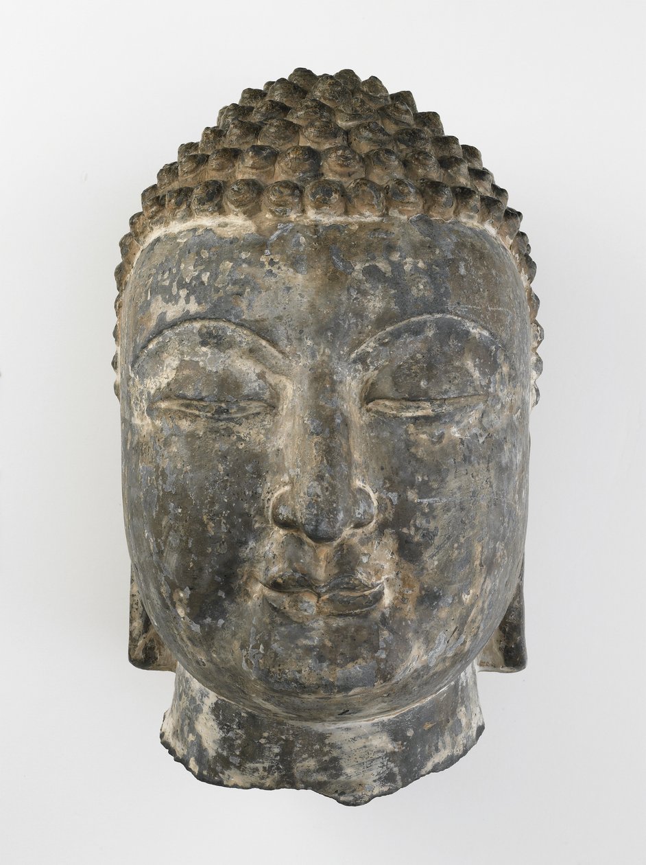 Cabeça colossal de Buda de Sui Dynasty Chinese School