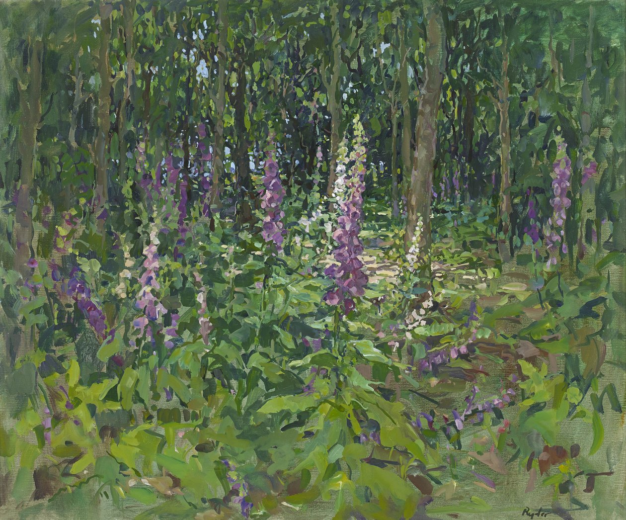 Foxgloves de Susan Ryder
