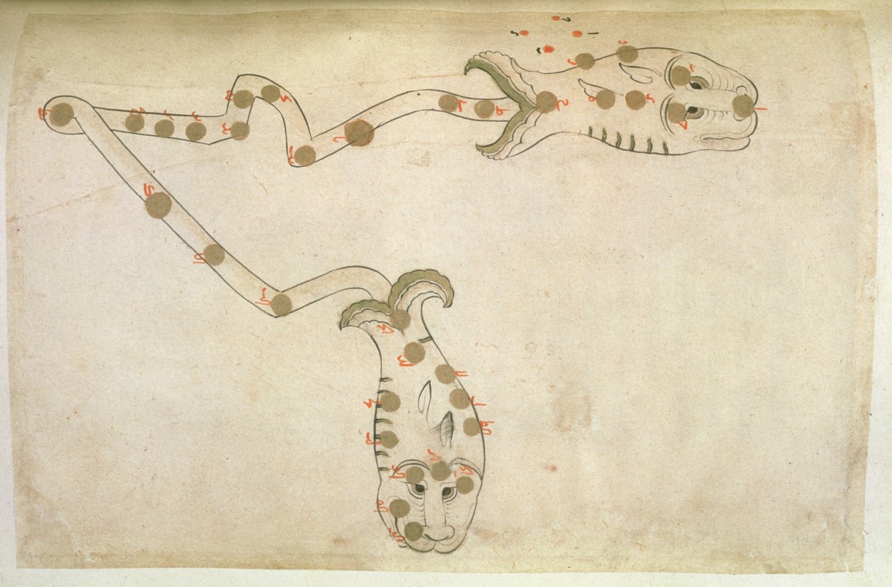 Representações do Zodíaco: Peixes, os peixes, 1497-1498 (903 Hijra) de Suvar Al Kavakib