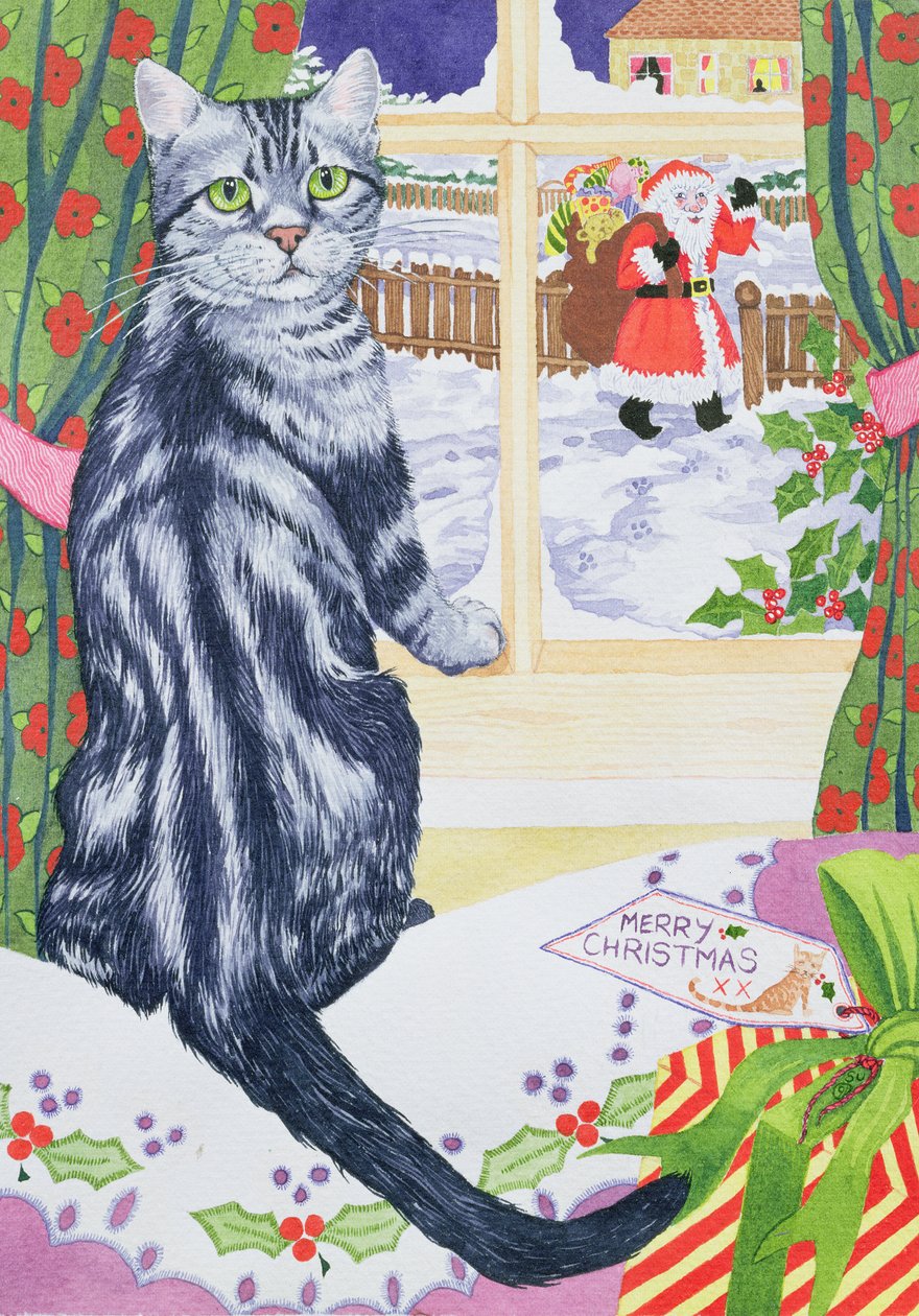 Um visitante de Natal para Toby de Suzanne Bailey