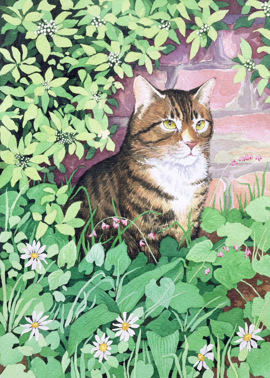 Jackies Cat (design de jardim) de Suzanne Bailey