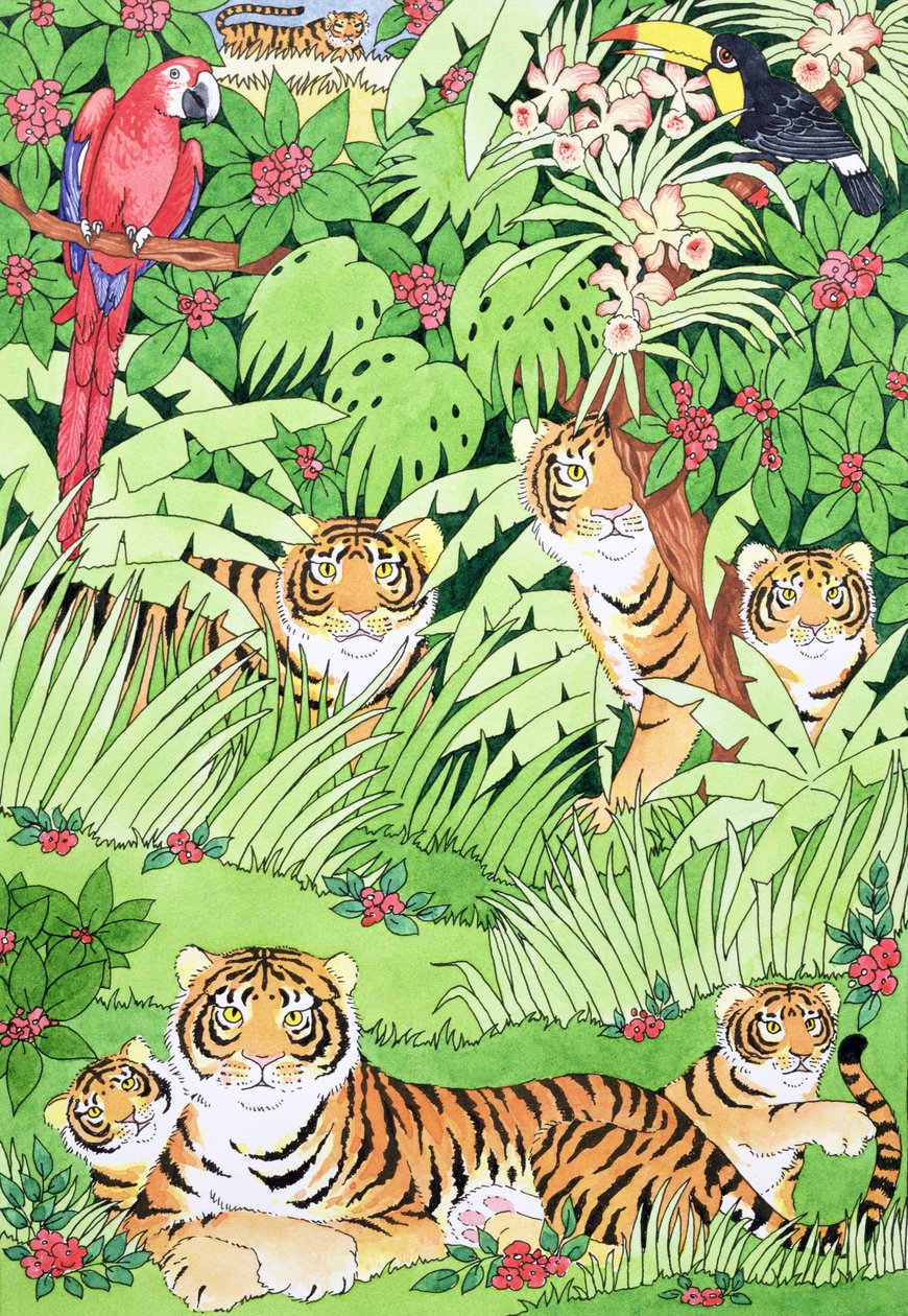 Selva do Tigre de Suzanne Bailey