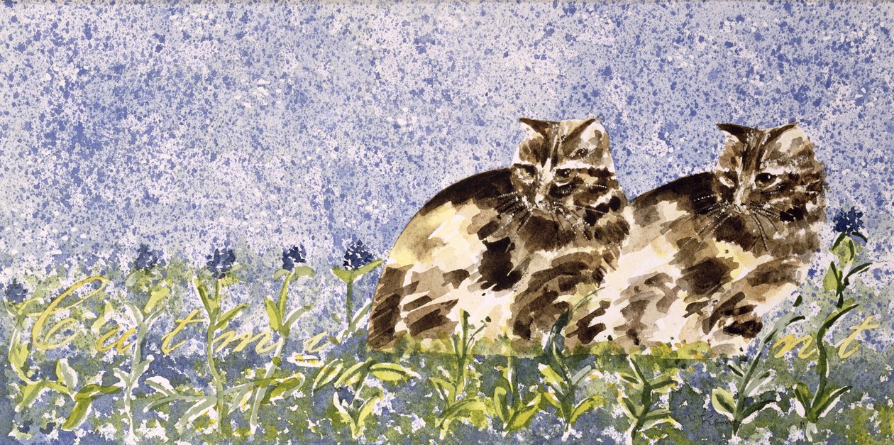 Menta de gato (wc no papel) de Suzi Kennett