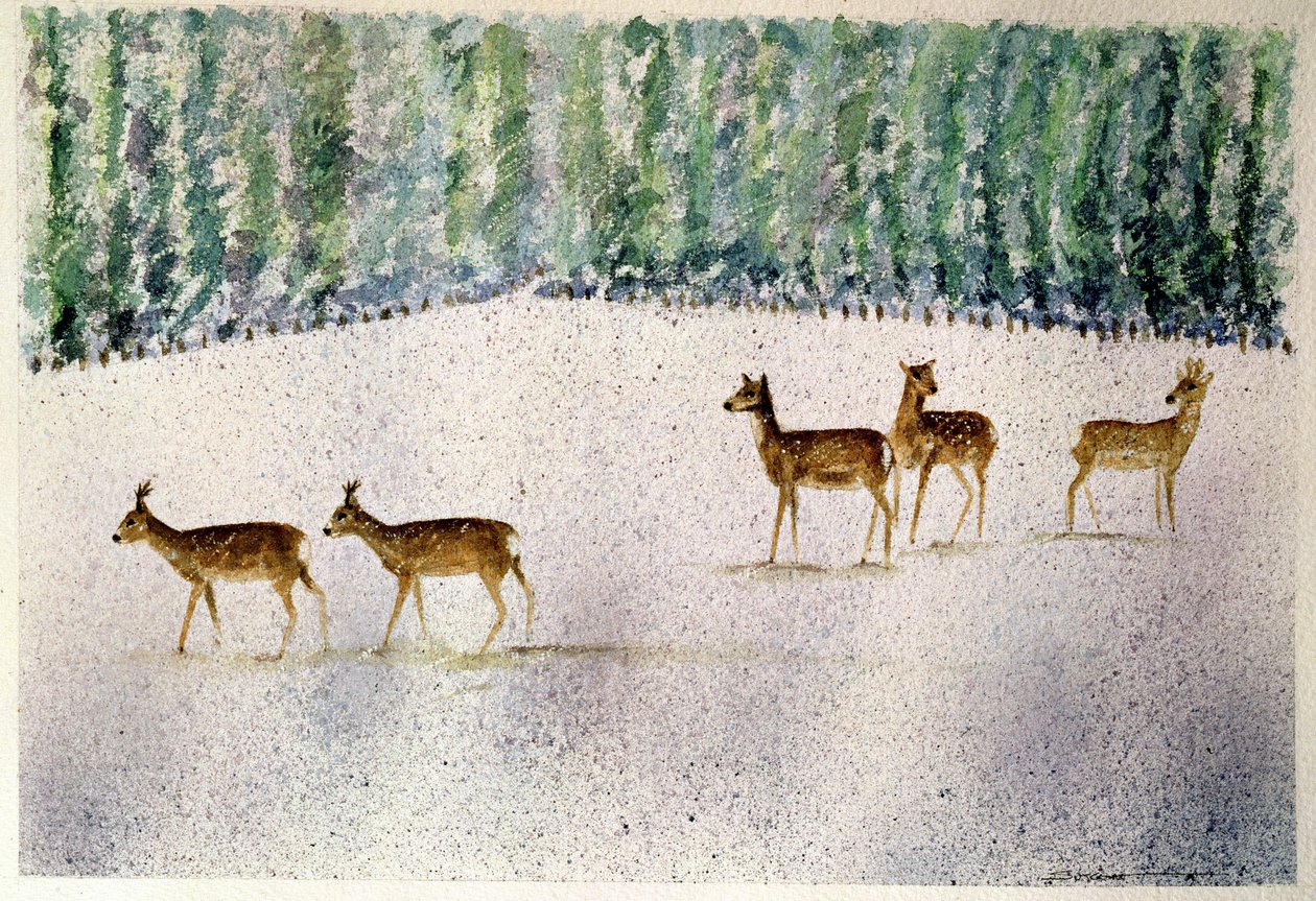 Veado na neve de Suzi Kennett