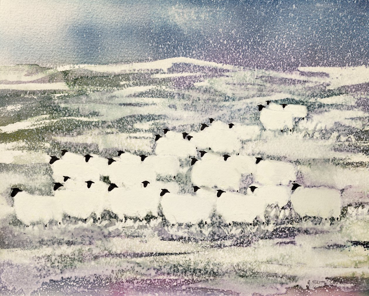 Ovelhas no inverno de Suzi Kennett
