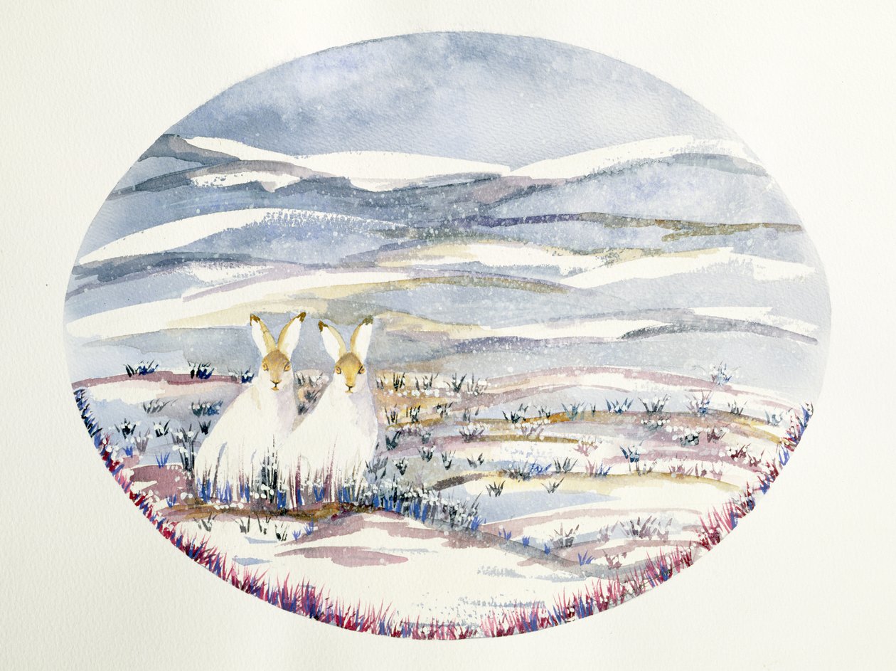 Duas lebres em uma paisagem de neve (wc) de Suzi Kennett