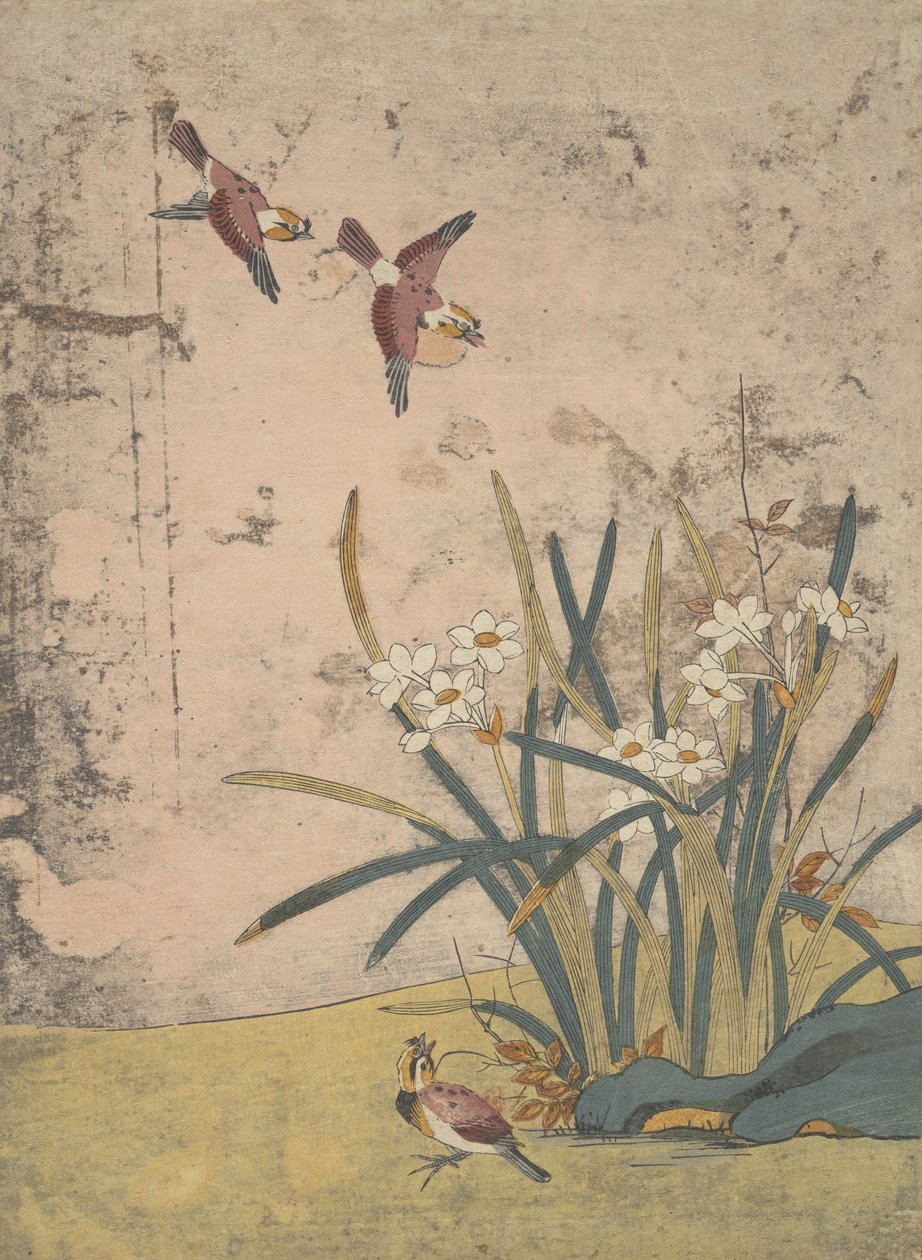 Pássaros e Narciso. de Suzuki Harunobu