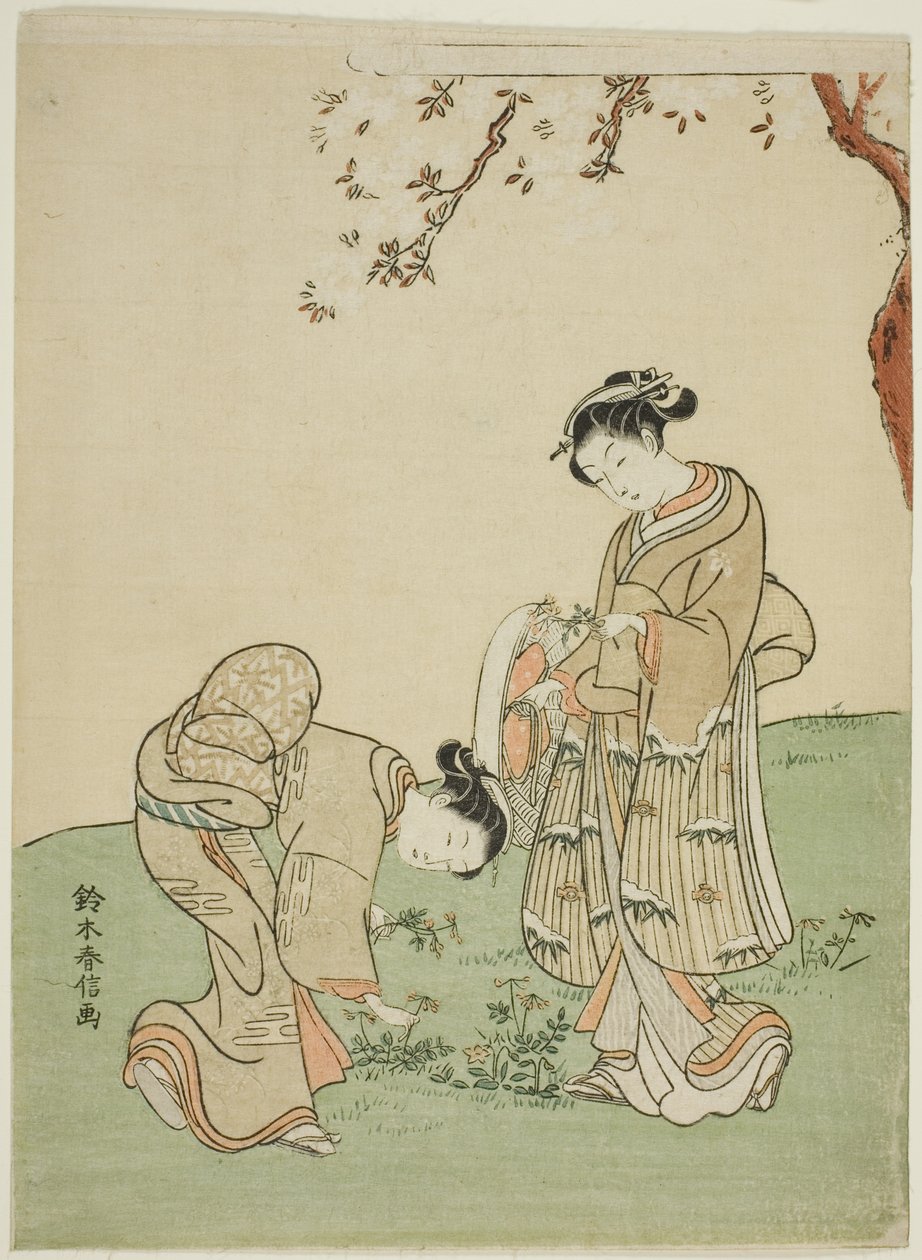 Colhendo flores da primavera de Suzuki Harunobu