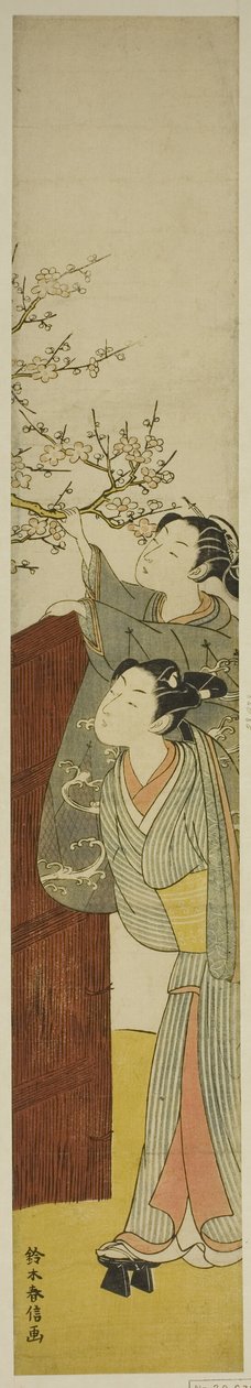 Escolhendo um ramo de ameixa de Suzuki Harunobu