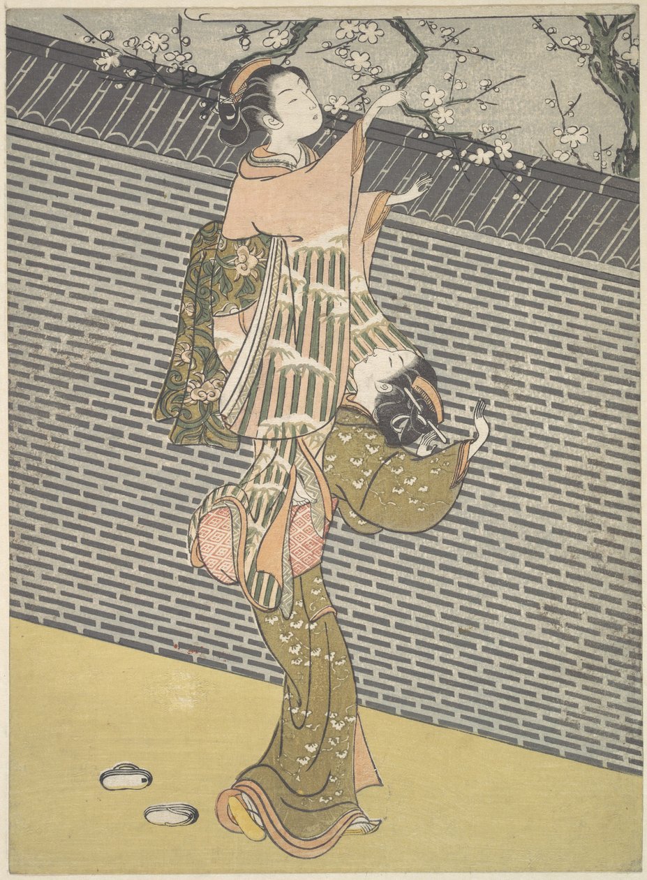 Colher um ramo da ameixeira de um vizinho de Suzuki Harunobu