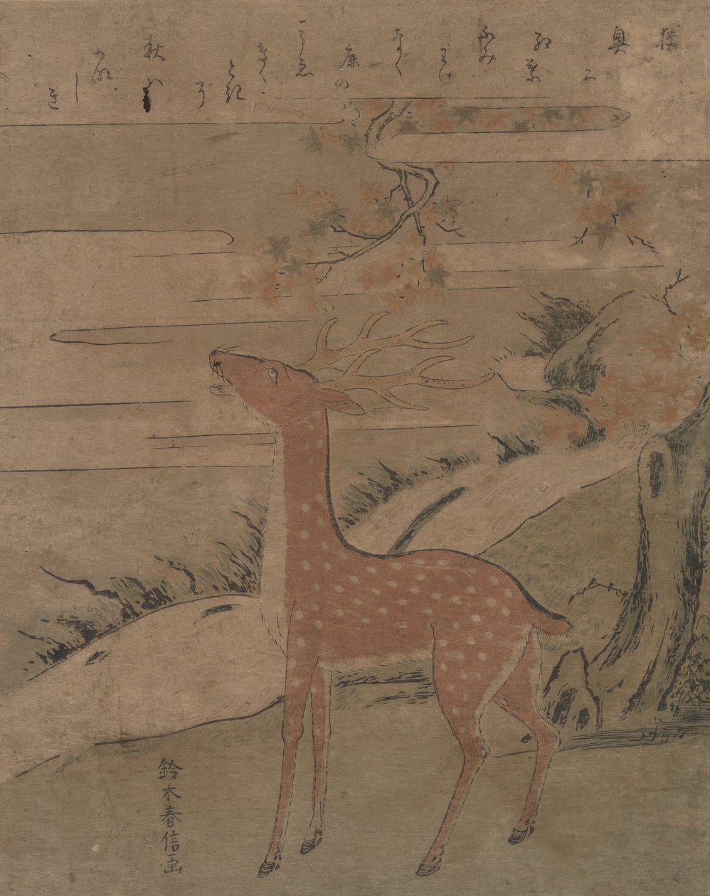 O Grito do Cervo, c. 1760., c. 1760. de Suzuki Harunobu