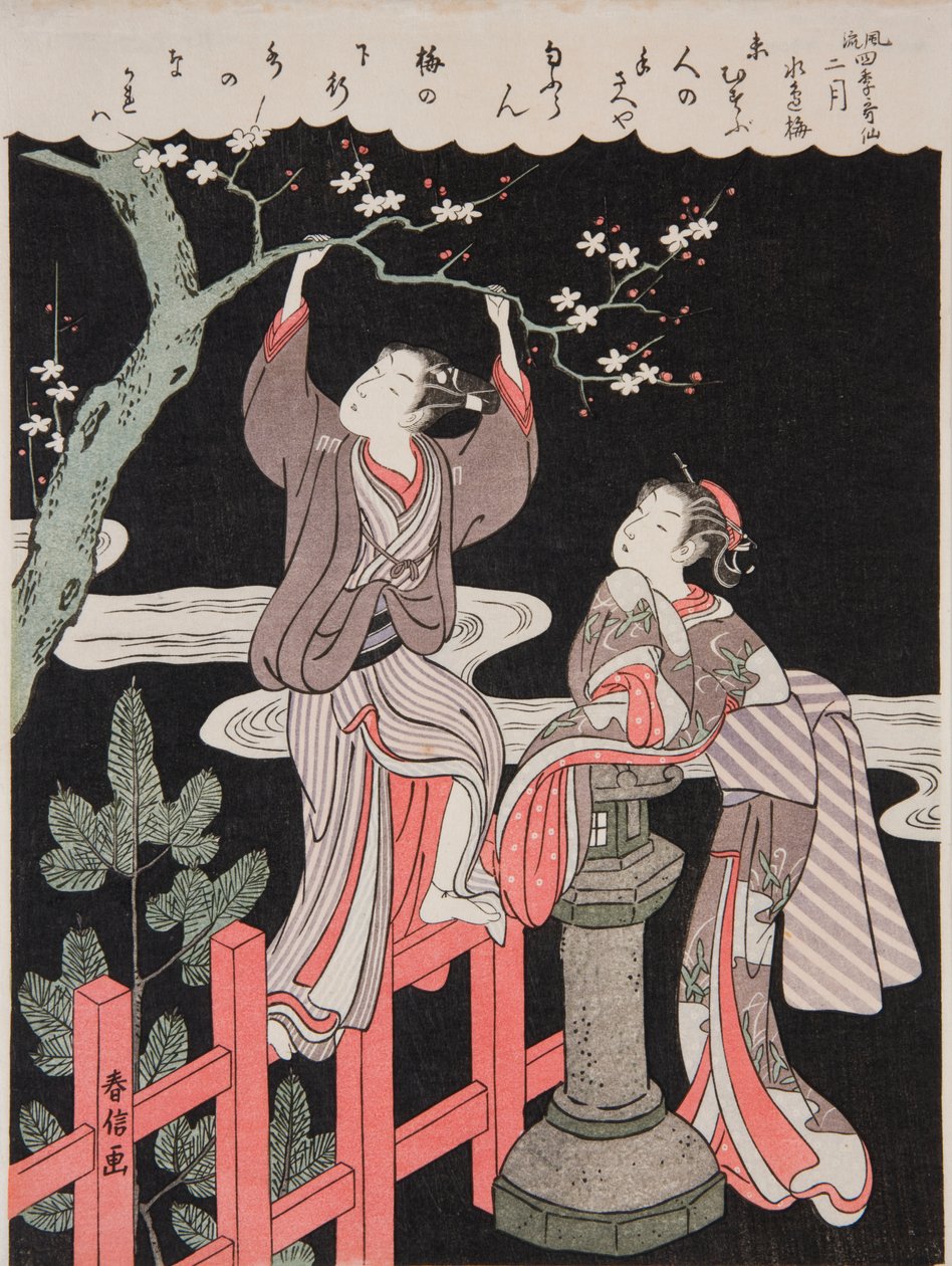 Primavera (fevereiro). Um jovem colhe um ramo de uma ameixoeira em flor para a sua amada, da série: Poemas elegantes das quatro estações / Fūryū shiki kasen de Suzuki Harunobu