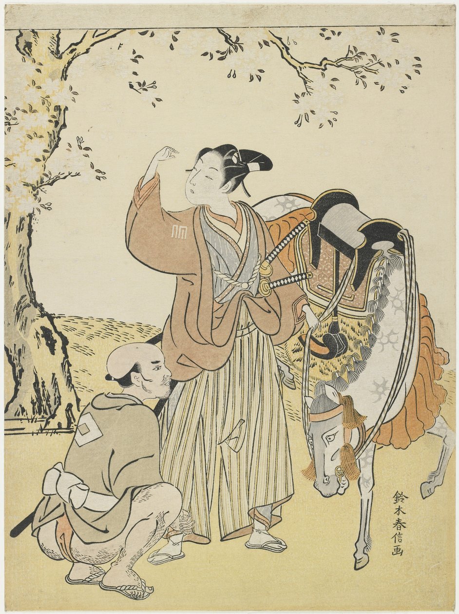 Jovem Samurai visualizando as flores de cerejeira como um mito do príncipe Kaoru, c. 1767 de Suzuki Harunobu