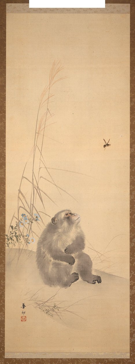 Aap de Suzuki Kason