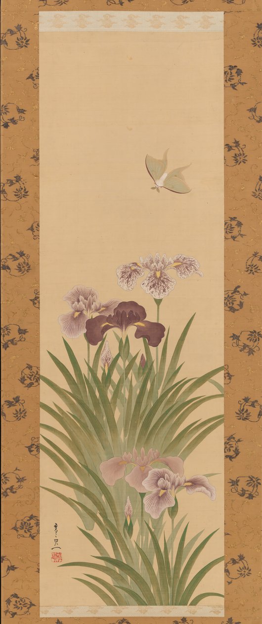Íris e Mariposa, ca. 1850 de Suzuki Kiitsu