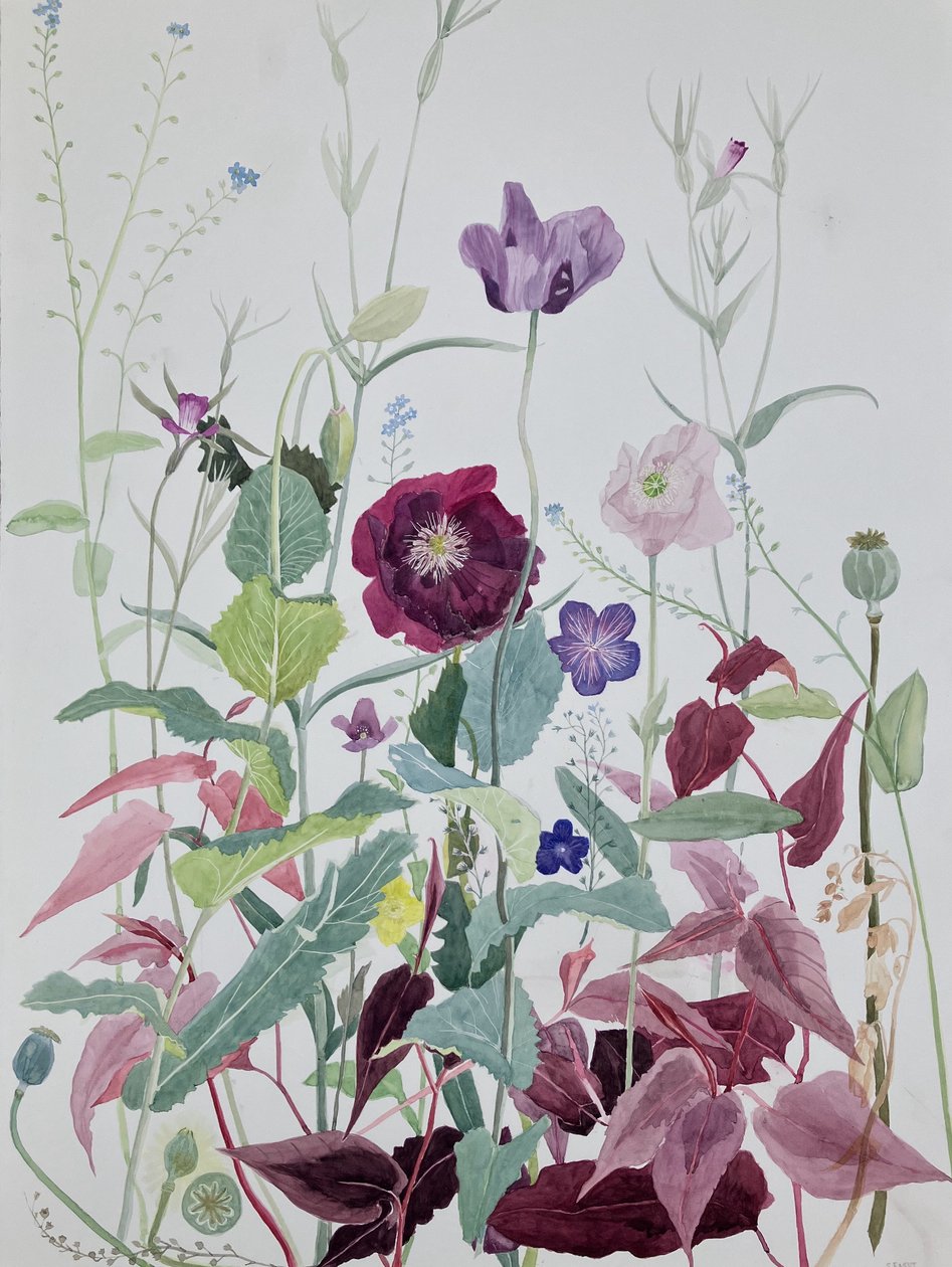 Flores do jardim, junho, 2025 (aguarela sobre papel) de Suzy Fasht