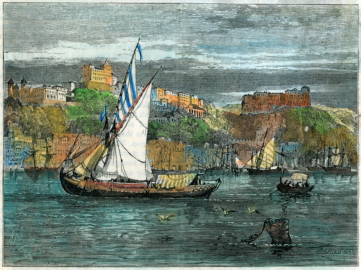 Vista do Porto, Portugal, c1880 de Swain