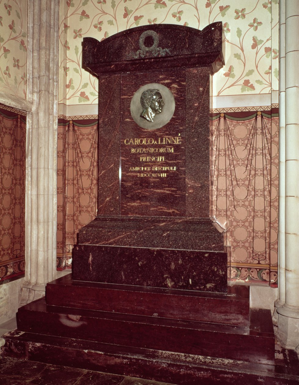 O túmulo de Carl Linnaeus (1707-78) de Swedish School
