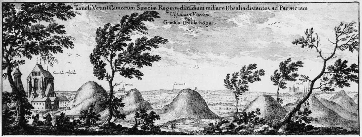 Montes funerários em Uppsala, Suécia de Swedish School