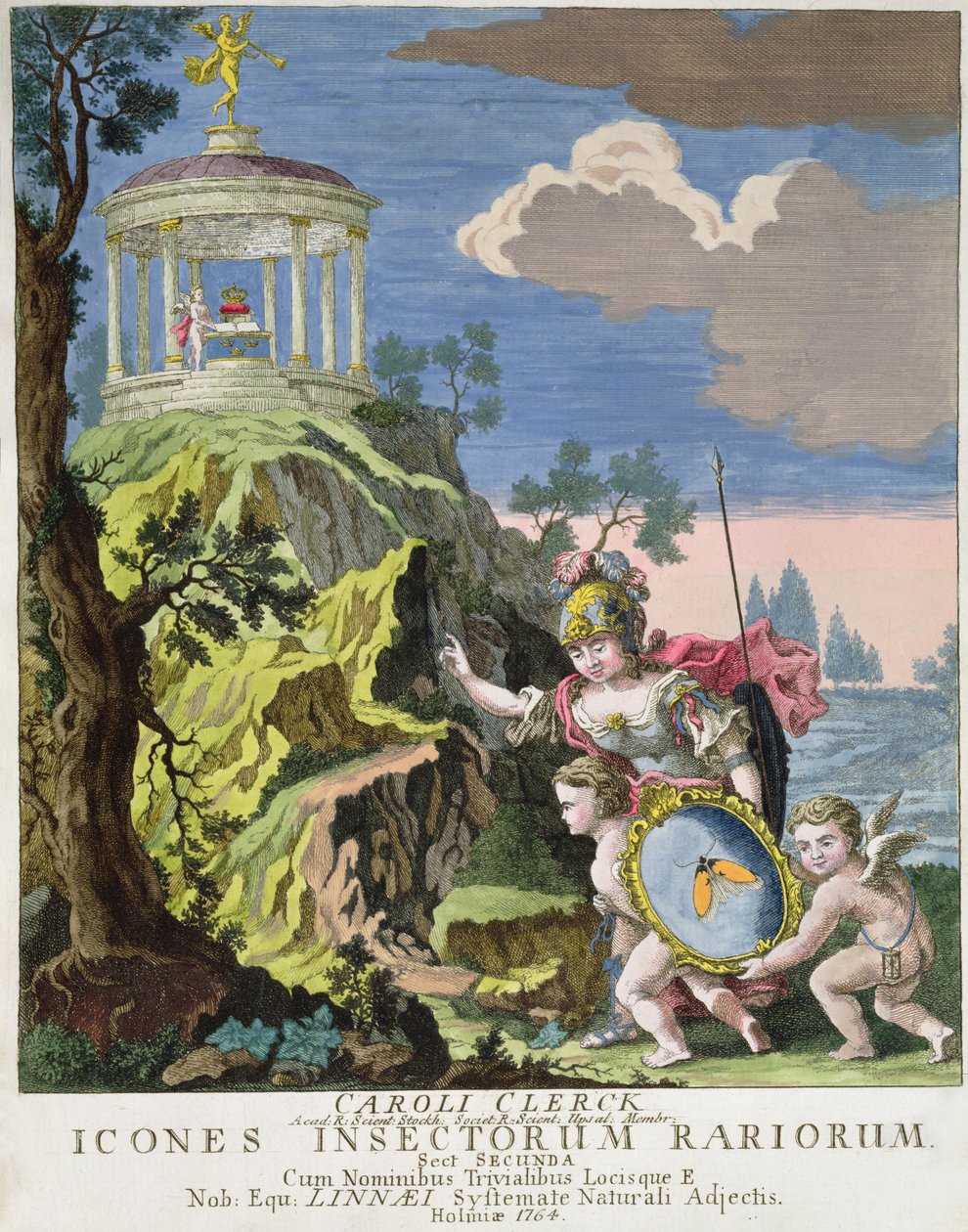 Ícones frontispício de insetos gravuras de Koch, Suécia, 1764 de Swedish School