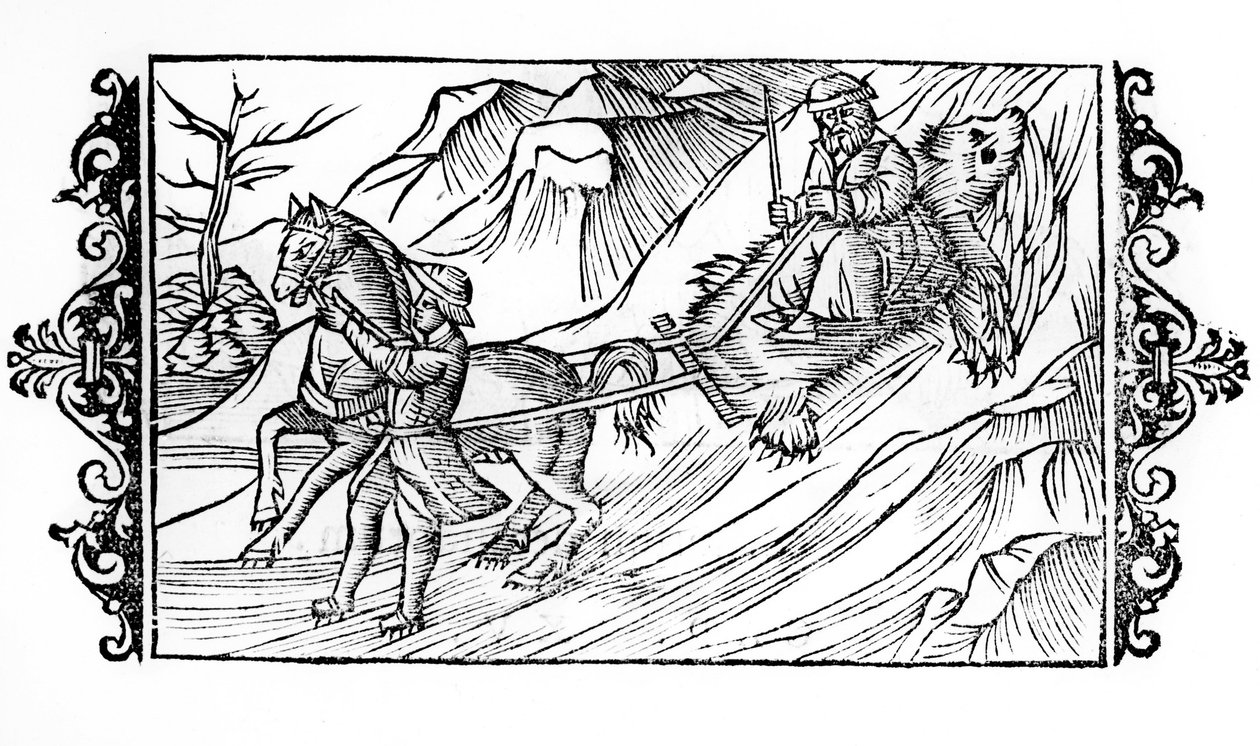Cavalo arrastando na neve uma pele de urso sobre a qual está sentado um finlandês - em "De Gentibus septrionalibus" do Arcebispo Olaus Magnus, Suécia de Swedish School