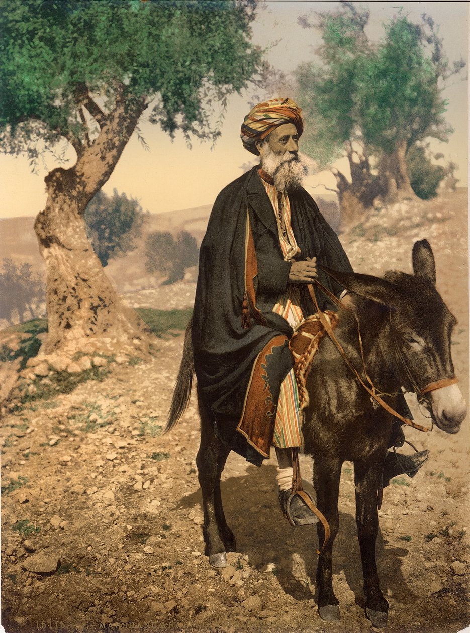 Homem árabe de Belém em seu burro, c.1880-1900 (photochrom) de Swiss Photographer