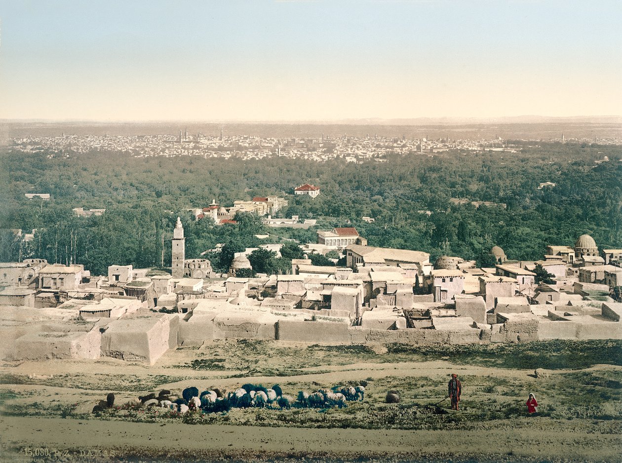 Vista geral de Damasco, c.1880-1900 (photochrom) de Swiss Photographer