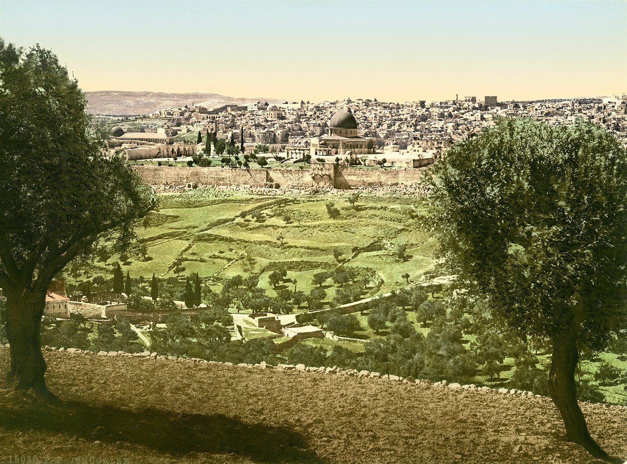 Vista geral de Jerusalem do leste, c.1880-1900 (photochrom) de Swiss Photographer