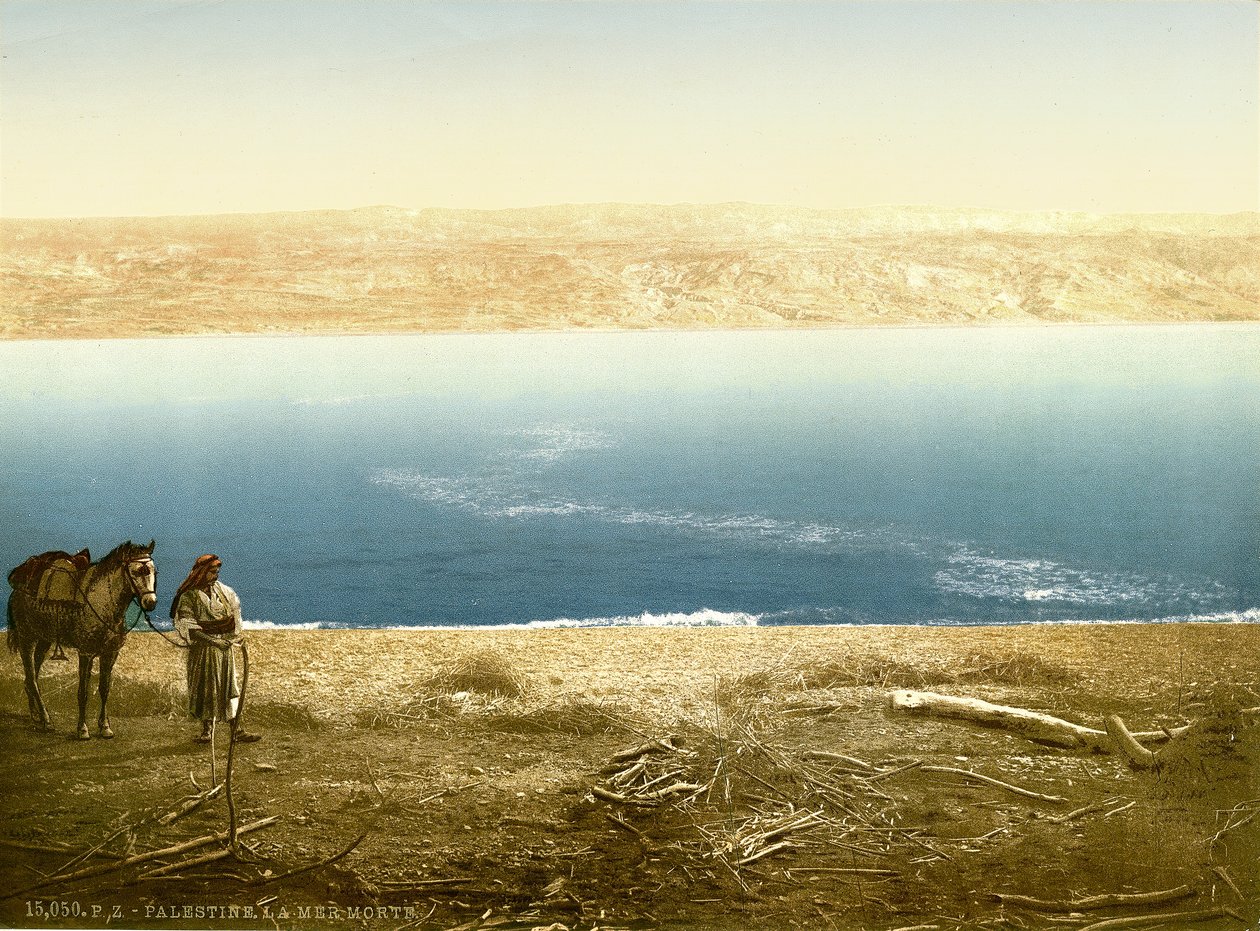 Vista do mar inoperante que olha do leste para Moab, c.1880-1900 (photochrom) de Swiss Photographer