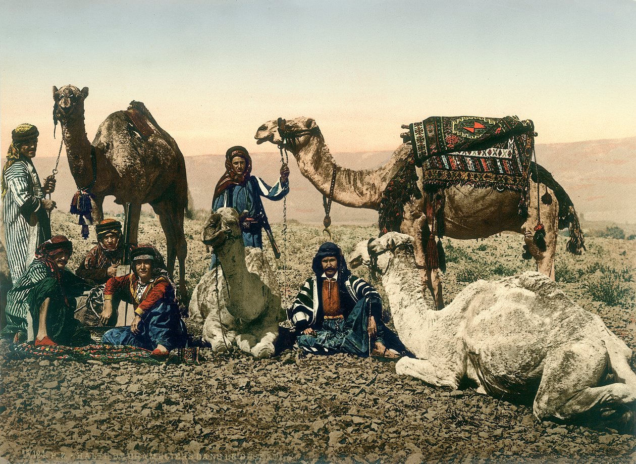Viajantes ocidentais vestidos como beduínos e seus guias com seus camelos no vale do Jordão, c.1880-1900 (fotochrom) de Swiss Photographer