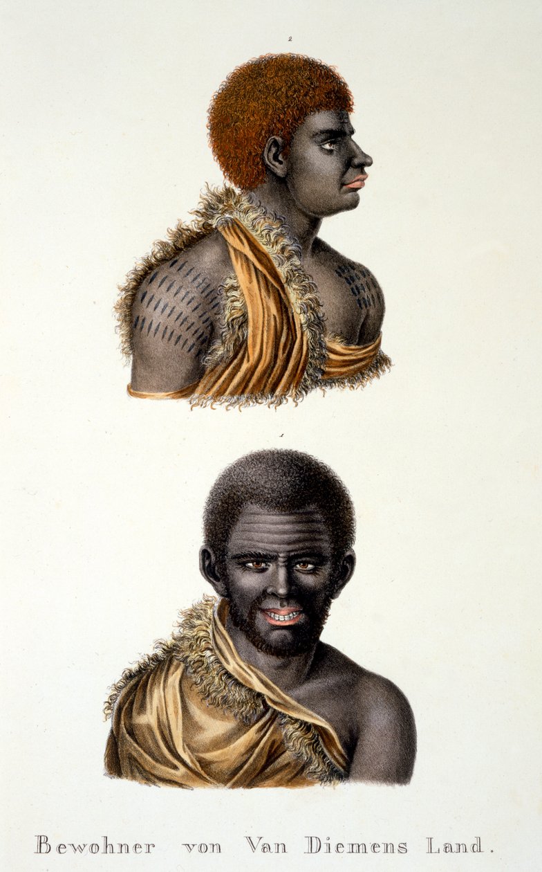 Nativos de Van Diemans Land, ie. Tasmânia, do estudo etnológico de vários tipos raciais de vários continentes, por CI Brodtmann, 1824 de Swiss School