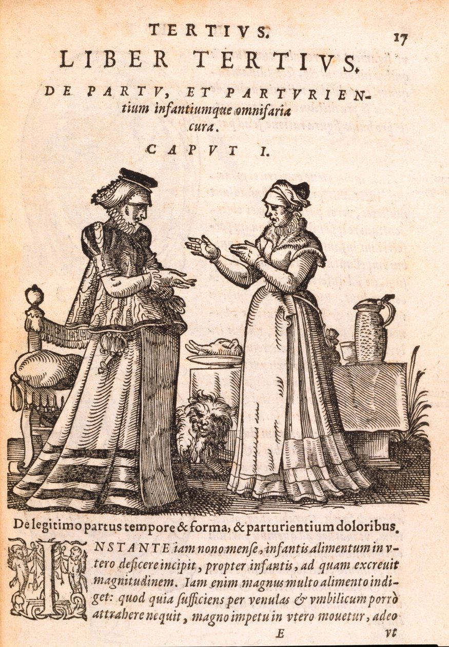Enfermeira cuidando de um paciente com uma mão ferida, de De Concepta et Generatione Hominis por Jakob Ruf, 1587 (impressão e xilogravura sobre papel) de Swiss School
