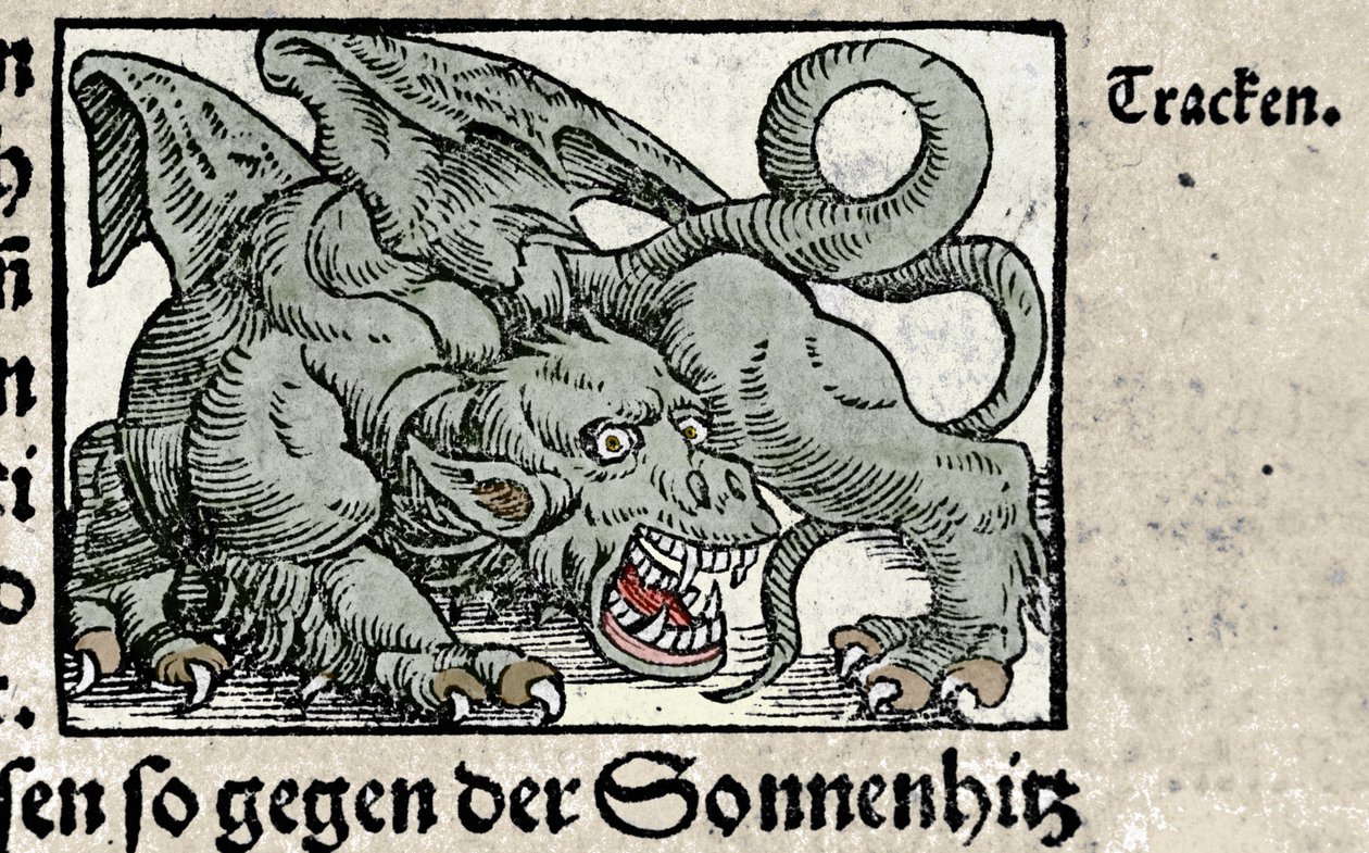 Representação de um dragão: gravura de "Den Edlen Strengen Besten Fromen" de Johann Stumpff. 1550 de Swiss School