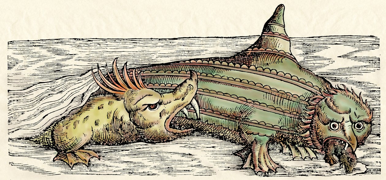 Criaturas marinhas, ilustração de "Historiae Animalium" de Conrad Gesner de Swiss School