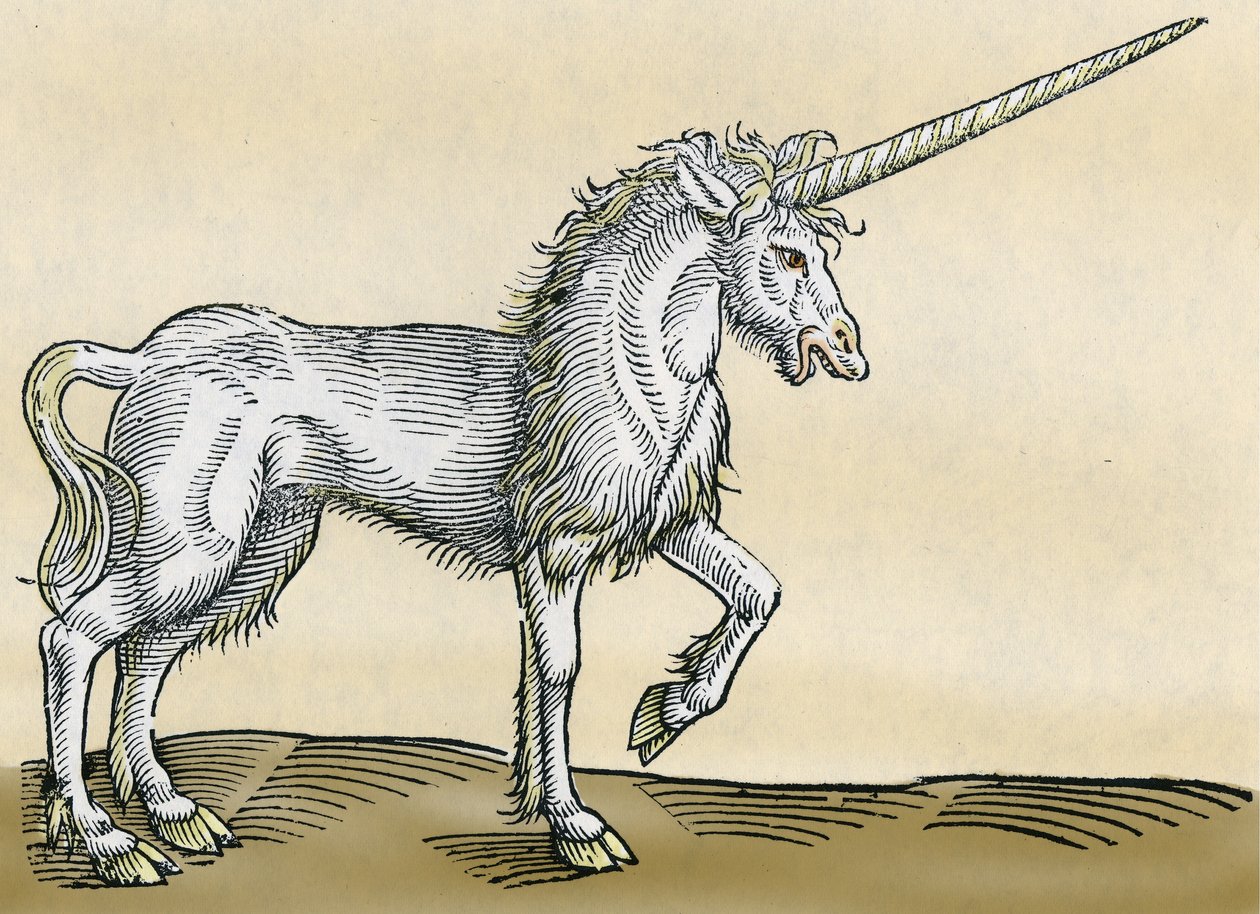 Unicorn, de uma história de animais por Conrad Gesner de 1551 de Swiss School
