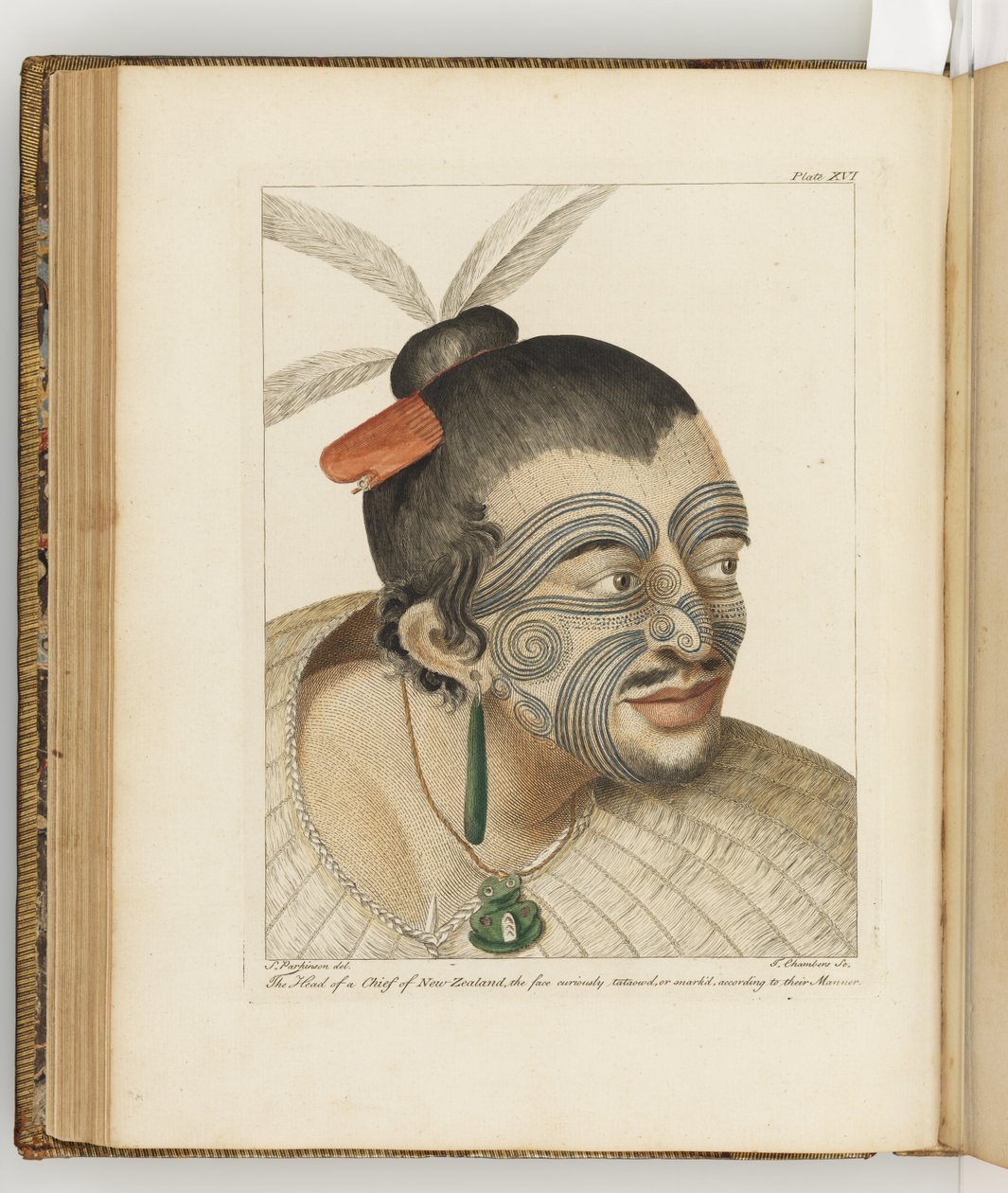 Ilustração de "Um diário de uma viagem aos mares do sul: na nave de Sua Majestade, o Endeavour", 1794 de Sydney Parkinson