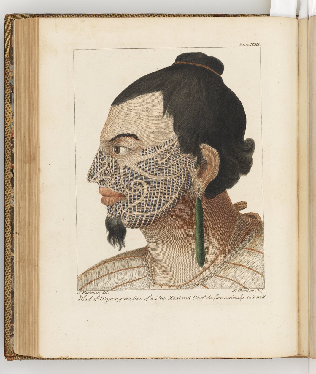 Chefe de Otegoongoon, ilustração de Um diário de uma viagem aos mares do Sul: em seu navio Majestys, o Endeavour, 1794 (gravura colorida à mão) de Sydney