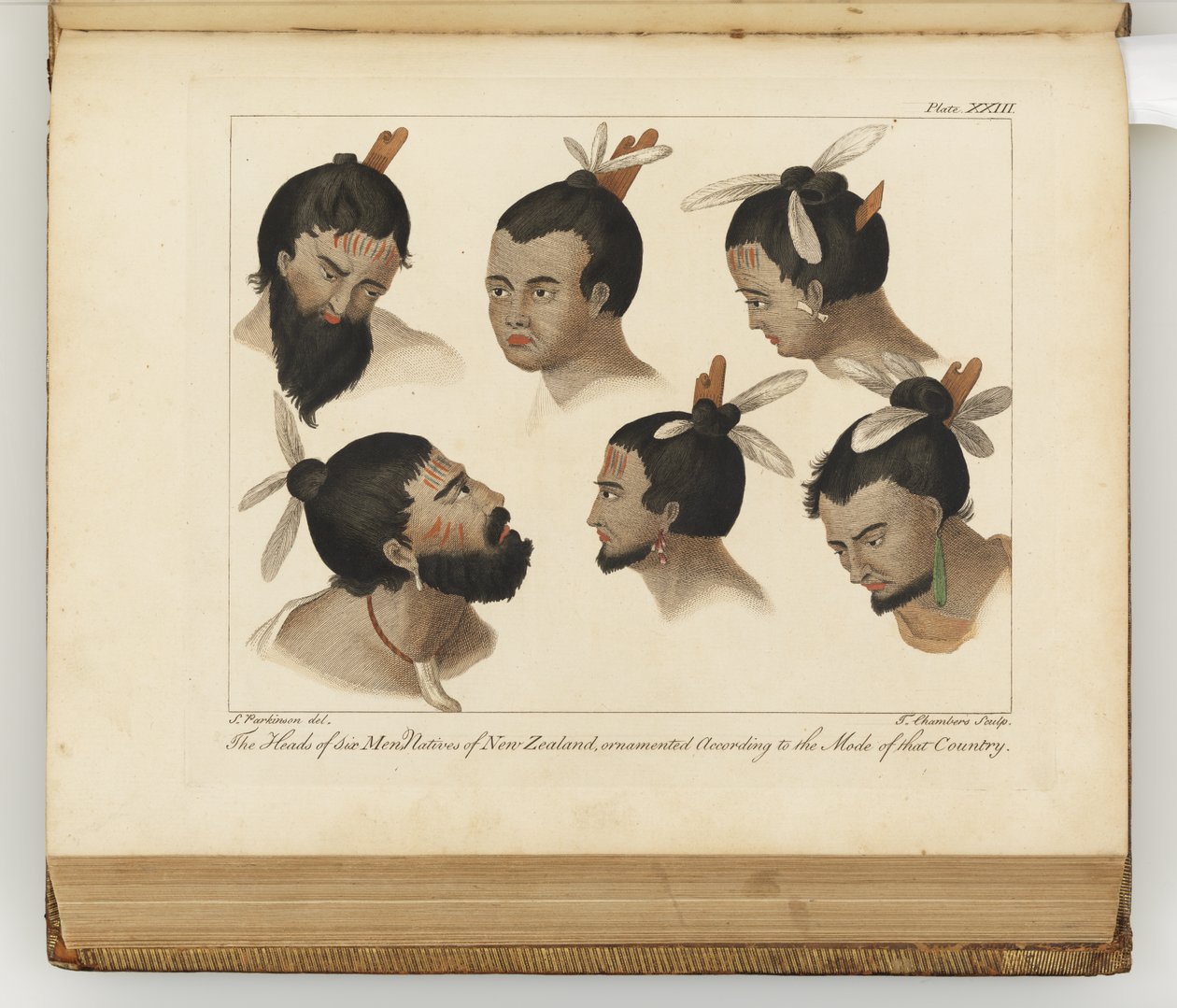 As cabeças de seis homens, ilustração de Um diário de uma viagem para os mares do Sul: no navio de Sua Majestade, o Endeavour, 1794 (gravura colorida à mão) de Sydney