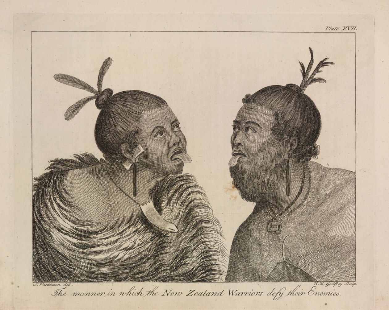 L.R.294.c.7,placa XVII guerreiros da Nova Zelândia de Sydney (after) Parkinson
