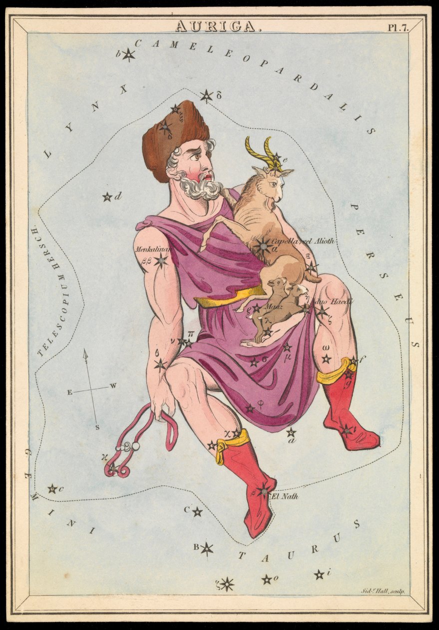 Auriga, c.1825 (cartão, papel, tecido) de Sydney Hall