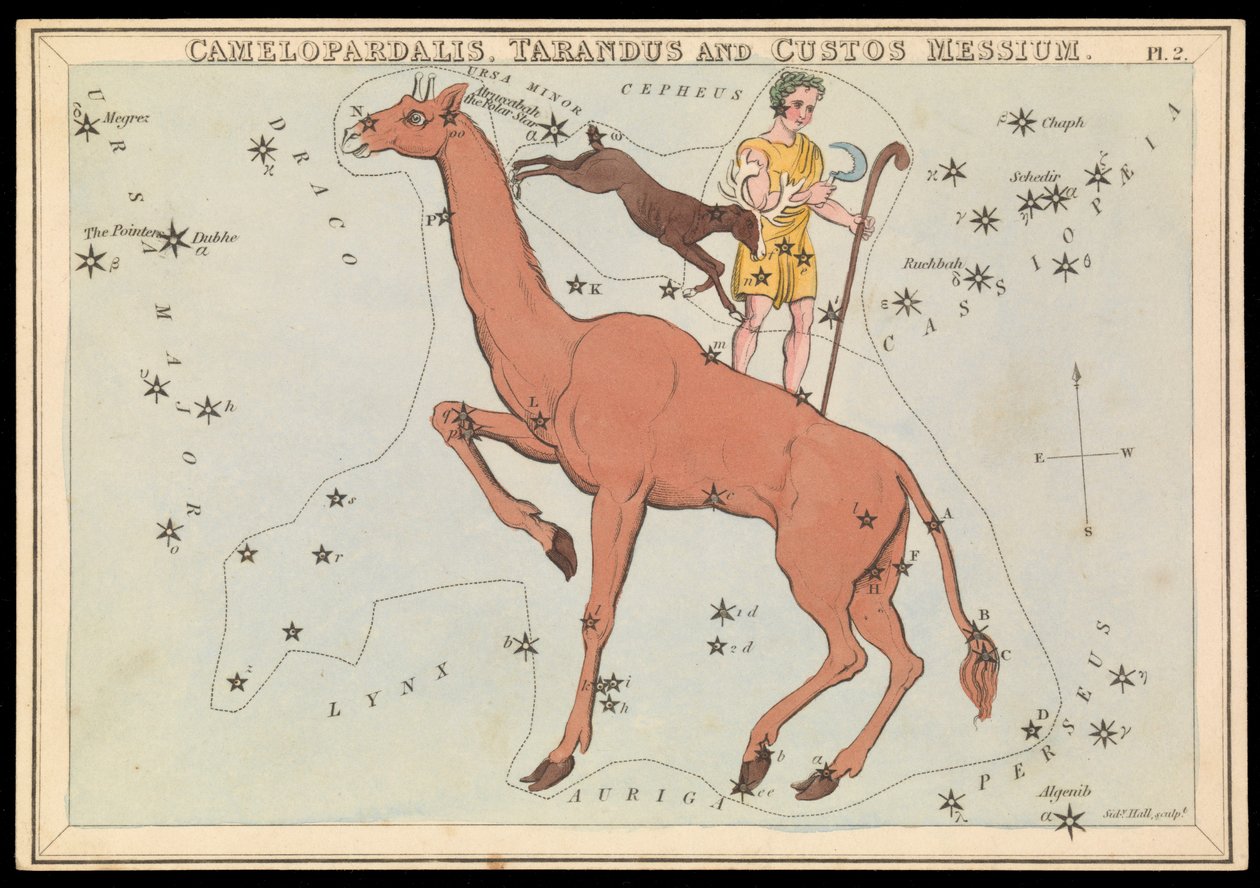Camelopadalis, Tarandus e Custos Messium, c.1825 (cartão, papel, tecido) de Sydney Hall