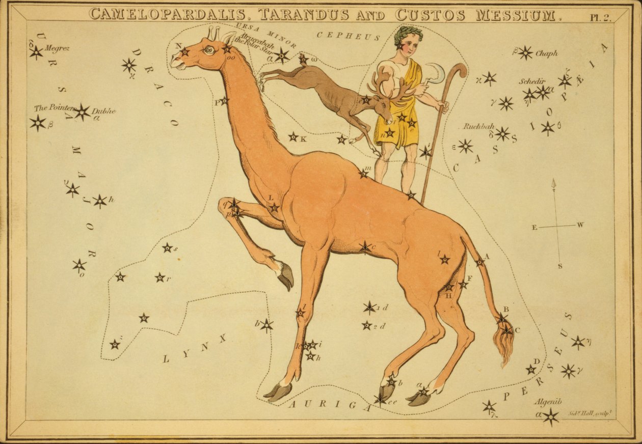 Camelopardalis, Tarandus e Guardião do Messium, Ilustração de 