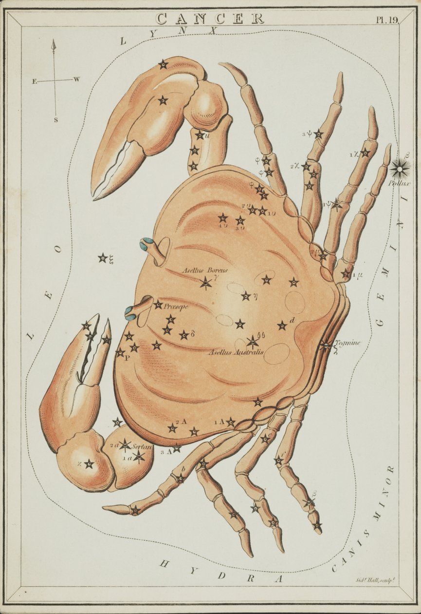 Câncer, ilustração de 