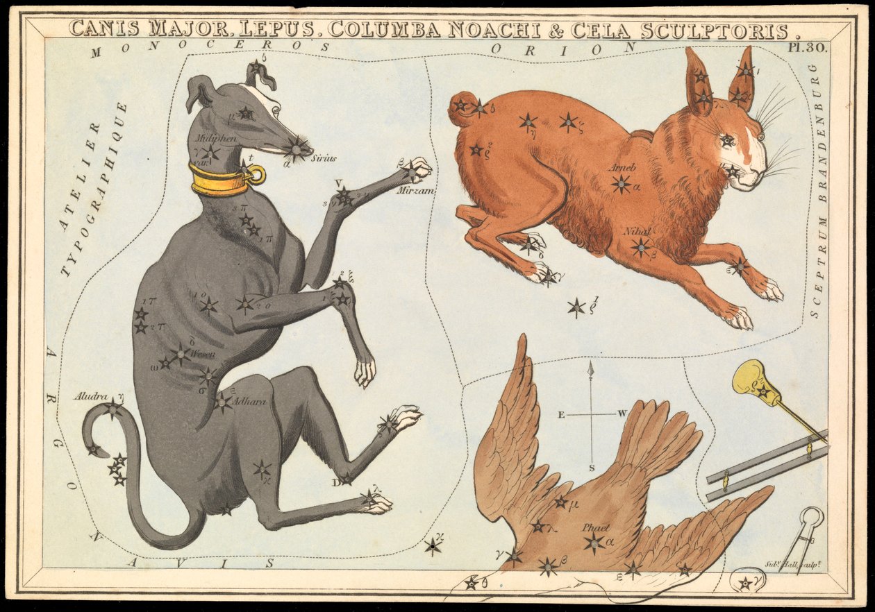 Canis Major. Lepus, Columba Noachi  Cela Sculptoris, c.1825 (cartão, papel, tecido) de Sydney Hall