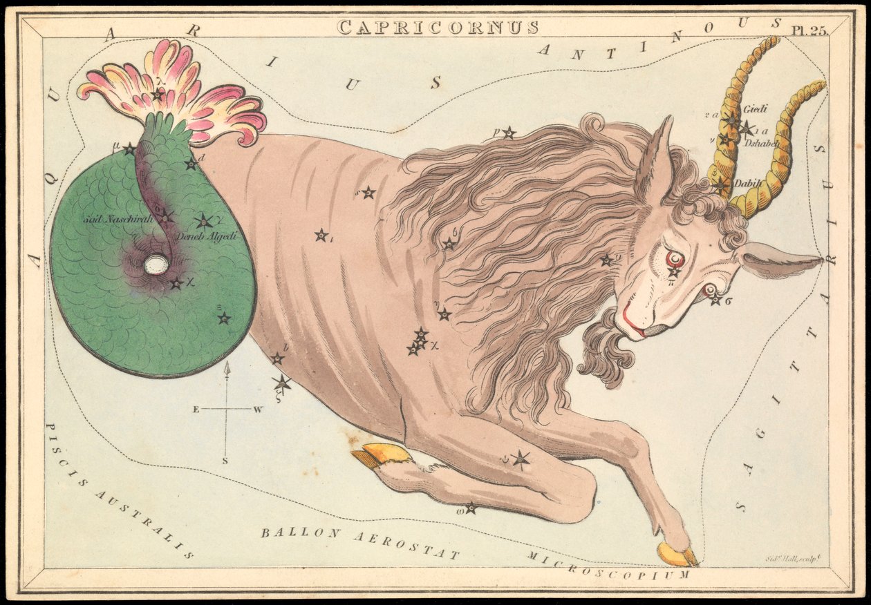 Capricornus, c.1825 (cartão, papel, tecido) de Sydney Hall